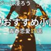 夏におすすめの青春恋愛小説15選　2026年最新
