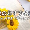 夏のおすすめ本40選！　2026年最新